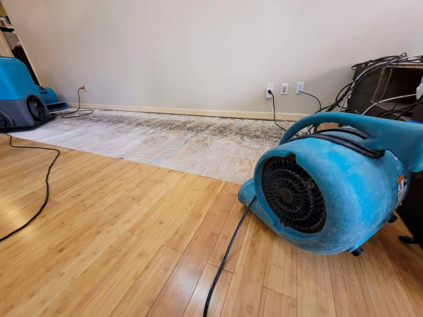 Professional Water Removal technician working in Cliff Island, ME